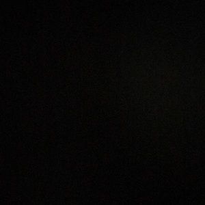 Meet your Posher, Lexi